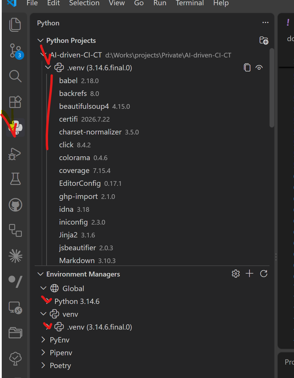 VS Code Python interpreter